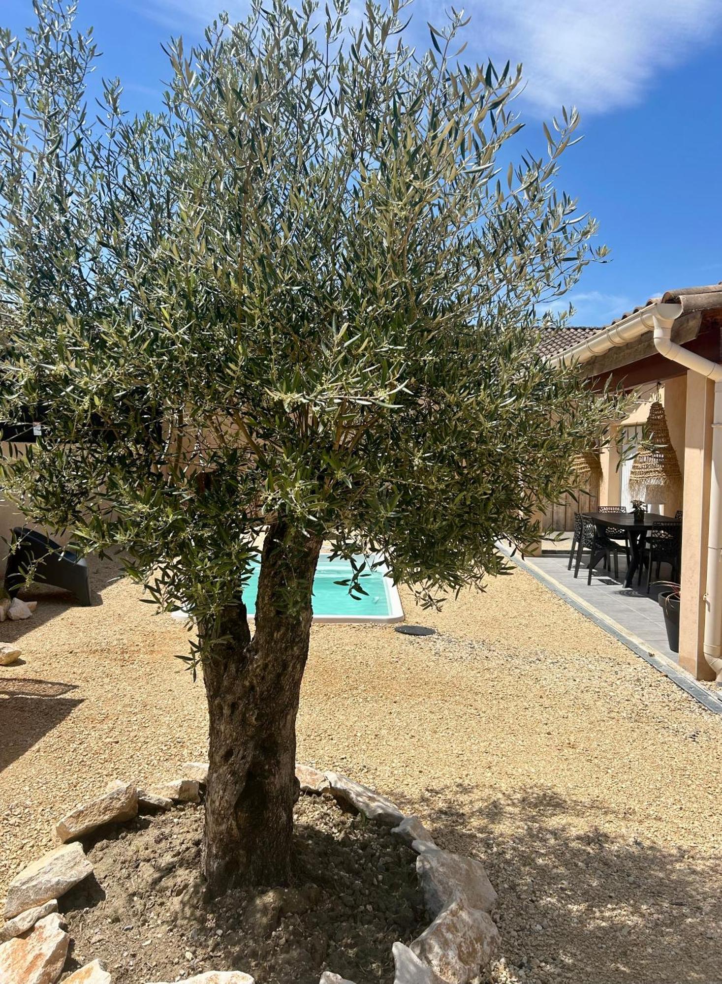 Maison Piscine & Spa Vallon Pont D'Arc Esterno foto